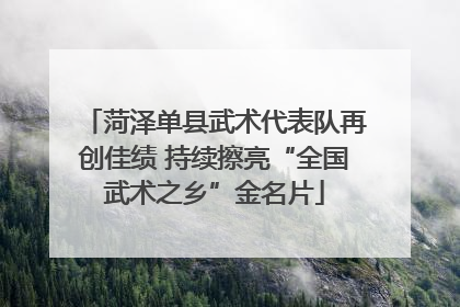 菏泽单县武术代表队再创佳绩 持续擦亮“全国武术之乡”金名片