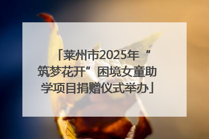 莱州市2025年“筑梦花开”困境女童助学项目捐赠仪式举办