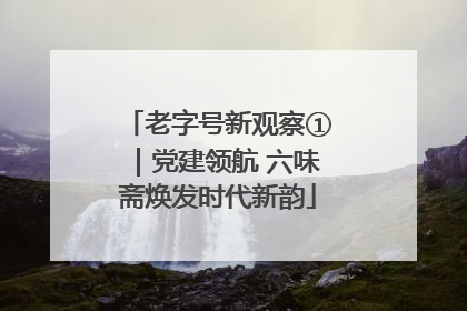 老字号新观察①｜党建领航 六味斋焕发时代新韵