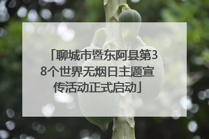 聊城市暨东阿县第38个世界无烟日主题宣传活动正式启动