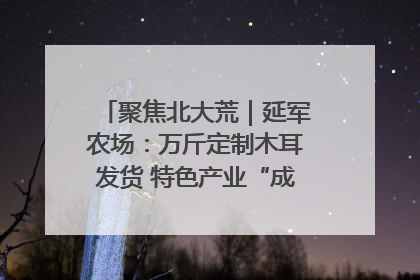 聚焦北大荒｜延军农场：万斤定制木耳发货 特色产业“成绩单”亮眼