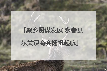 聚乡贤谋发展 永春县东关镇商会扬帆起航
