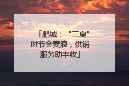 肥城：“三夏”时节金麦浪，供销服务助丰收