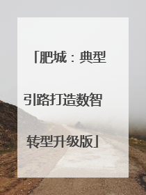 肥城：典型引路打造数智转型升级版