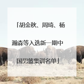 胡金秋、周琦、杨瀚森等入选新一期中国男篮集训名单