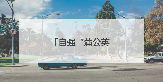 自强“蒲公英”飞进北林大