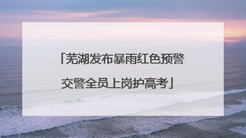 芜湖发布暴雨红色预警 交警全员上岗护高考