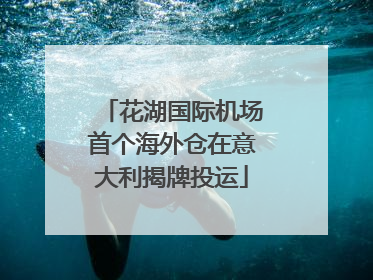 花湖国际机场首个海外仓在意大利揭牌投运