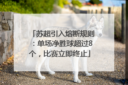 苏超引入熔断规则：单场净胜球超过8个，比赛立即终止