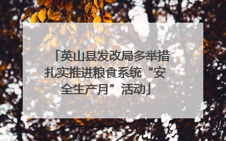 英山县发改局多举措扎实推进粮食系统“安全生产月”活动