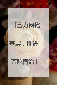 蓄力网格基层，推进普陀智治