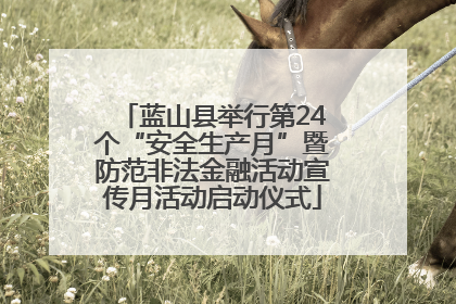 蓝山县举行第24个“安全生产月”暨防范非法金融活动宣传月活动启动仪式