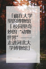 藏在大学里的博物馆丨校园里奇妙的“动物世界”——走进河北大学博物馆