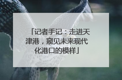记者手记：走进天津港，窥见未来现代化港口的模样