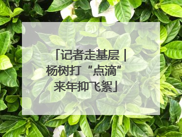 记者走基层｜杨树打“点滴” 来年抑飞絮