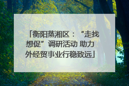 衡阳蒸湘区：“走找想促”调研活动 助力外经贸事业行稳致远