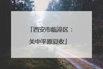 西安市临潼区：关中平原夏收