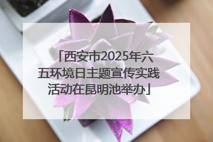 西安市2025年六五环境日主题宣传实践活动在昆明池举办