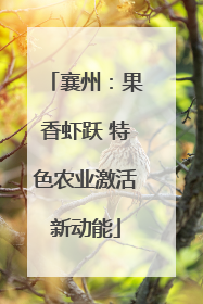 襄州：果香虾跃 特色农业激活新动能