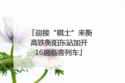 迎接“棋士”来衡 高铁衡阳东站加开16趟临客列车