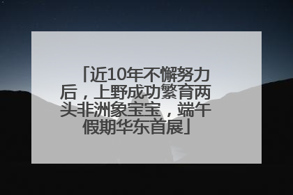 近10年不懈努力后，上野成功繁育两头非洲象宝宝，端午假期华东首展