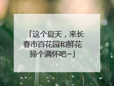 这个夏天，来长春市百花园和鲜花撞个满怀吧~