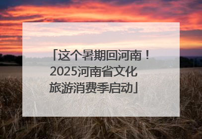 这个暑期回河南！2025河南省文化旅游消费季启动