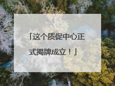 这个质促中心正式揭牌成立！