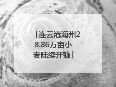 连云港海州28.86万亩小麦陆续开镰
