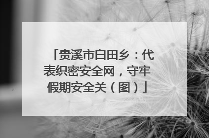 贵溪市白田乡：代表织密安全网，守牢假期安全关（图）