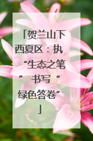 贺兰山下西夏区：执“生态之笔” 书写“绿色答卷”