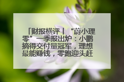 财报横评丨“蔚小理零”一季报出炉：小鹏摘得交付量冠军，理想最能赚钱，零跑迎头赶上，蔚来还在调整
