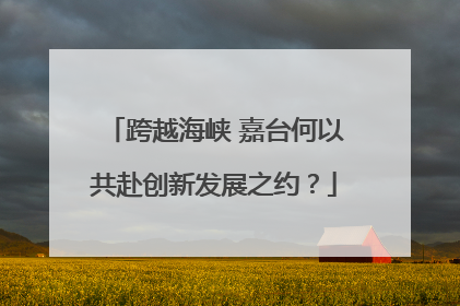跨越海峡 嘉台何以共赴创新发展之约？