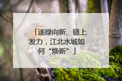 逐绿向新、链上发力，江北水城如何“焕新”