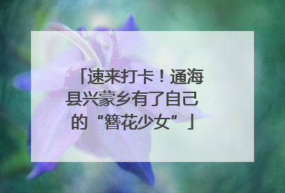 速来打卡！通海县兴蒙乡有了自己的“簪花少女”