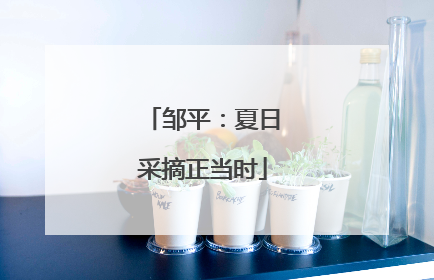 邹平：夏日采摘正当时