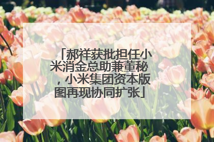 郝祥获批担任小米消金总助兼董秘，小米集团资本版图再现协同扩张
