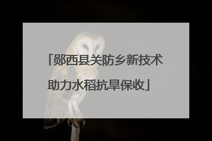 郧西县关防乡新技术助力水稻抗旱保收