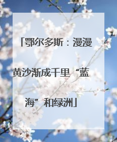 鄂尔多斯：漫漫黄沙渐成千里“蓝海”和绿洲