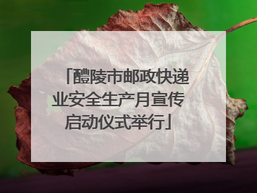 醴陵市邮政快递业安全生产月宣传启动仪式举行