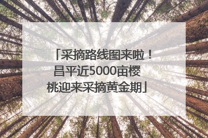 采摘路线图来啦！昌平近5000亩樱桃迎来采摘黄金期