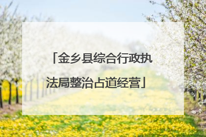 金乡县综合行政执法局整治占道经营