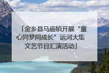 金乡县马庙镇开展“童心同梦同成长”运河大集文艺节目汇演活动