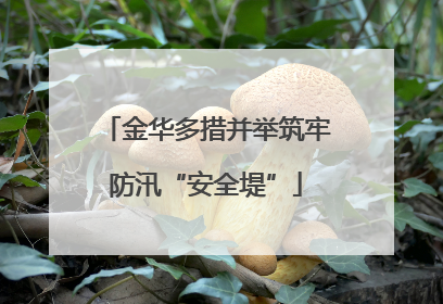 金华多措并举筑牢防汛“安全堤”