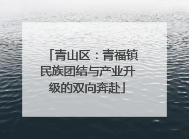 青山区：青福镇民族团结与产业升级的双向奔赴