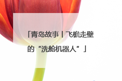 青岛故事丨飞檐走壁的“洗舱机器人”
