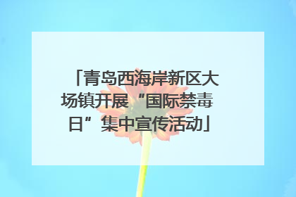 青岛西海岸新区大场镇开展“国际禁毒日”集中宣传活动
