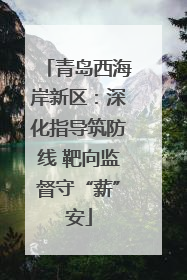 青岛西海岸新区：深化指导筑防线 靶向监督守“薪”安