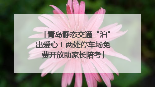 青岛静态交通“泊”出爱心！两处停车场免费开放助家长陪考