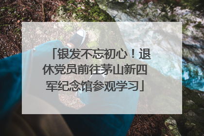 银发不忘初心！退休党员前往茅山新四军纪念馆参观学习